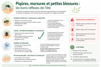 Piqûres, morsures et petites blessures : les bons réflexes