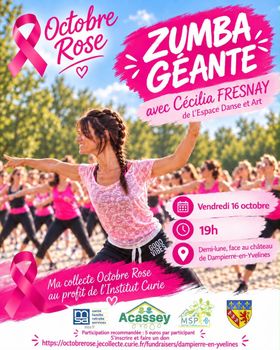 ZUMBA  Géante dans le cadre d' OCTOBRE  ROSE au Profit de la Recherche .