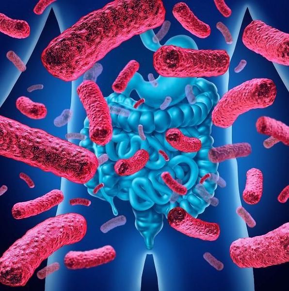 Cycle Santé Environnementale : la révolution du Microbiote