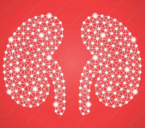La journée dépistage des maladies rénales [pour tout public]