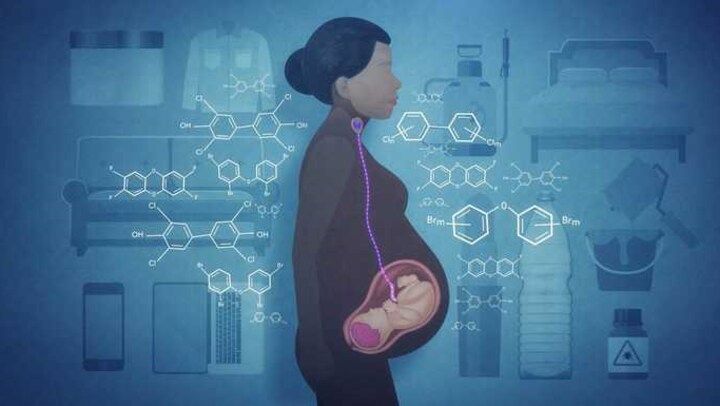 Kit ressources : périnatalité et perturbateurs endocriniens