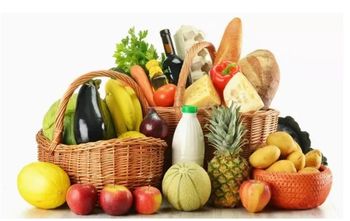 Conseils Alimentation 