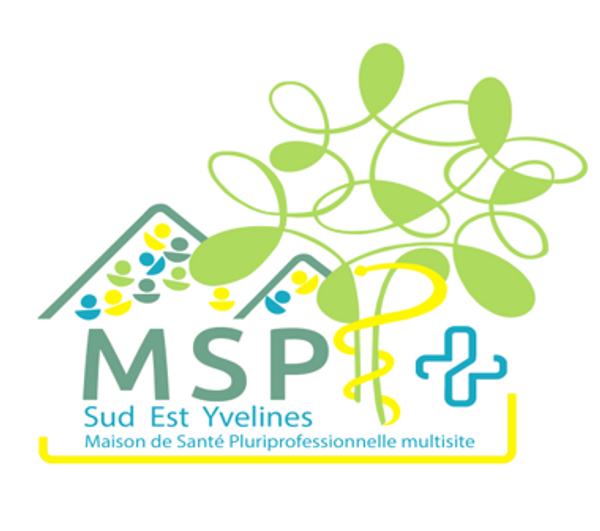 logo MSP Sud Est Yvelines