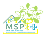 logo MSP Sud Est Yvelines